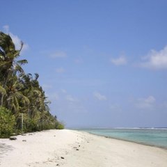 Lonuveli in Hulhumale, Maldives from 115$, photos, reviews - zenhotels.com photo 25