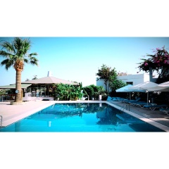 Gümbet Cove Hotel - Bild 14