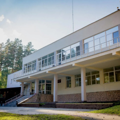 Ivolga photo 2