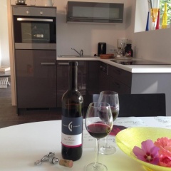 Stadtoase Koblenz - Bild 11
