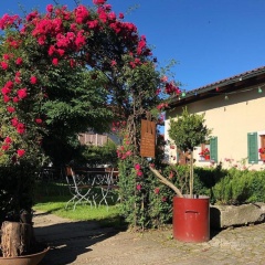 Landgasthof Zum Kirchenwirt - Bild 13