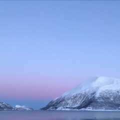 Отель Buvik Sea Lodge Норвегия, Тромсе - отзывы, цены и фото номеров - забронировать отель Buvik Sea Lodge онлайн фото 10