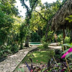 Chaltunha Hostel Flores Island in Flores, Guatemala from 99$, photos, reviews - zenhotels.com photo 6