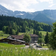 Buchenhöhe - Bild 15