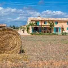 Finca Can Sitja - Bild 14