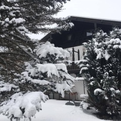 Alpenlodge - Bild 13