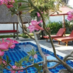 Terrace Bali Villa - Bild 9