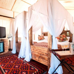 Impala Ecolodge thumbnail 2