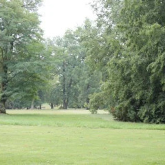 Schlosshotel Cecilienhof - Bild 13