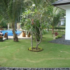 Explore Lombok From Dream Estate - Bild 13