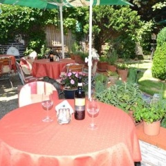 Monte Somma - Bild 14