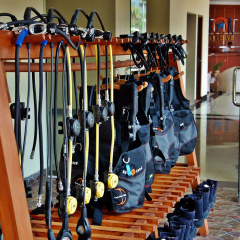 Bali Dive Resort and Spa - Bild 15