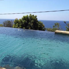 Paradise Palm Beach Bungalows - Bild 11