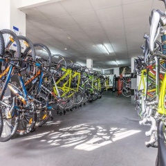 Zafiro Tropic - Bild 28