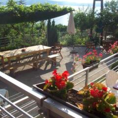 Vila Anastas in Konjsko, Macedonia from 77$, photos, reviews - zenhotels.com meals