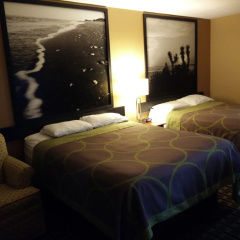 Platinum Inn & Suites Willowbrook Houston thumbnail 4