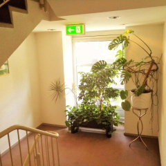 Hotel Ambassador - Bild 13