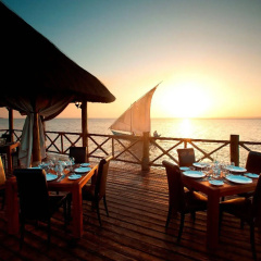 Impala Ecolodge thumbnail 19