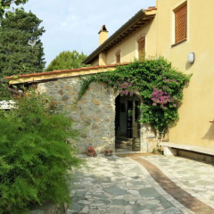 Maestraccio (BUT160) photo 2