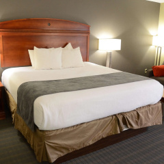 Best Western Delta Inn thumbnail 4