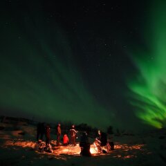 Отель Arctic Rooms Aurora Норвегия, Тромсе - отзывы, цены и фото номеров - забронировать отель Arctic Rooms Aurora онлайн фото 11