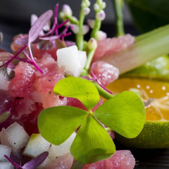 Chivitr Health & Rejuvenation - Bild 14
