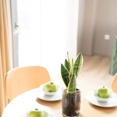 Chroma Fashion Rooms & Apartments - Bild 14