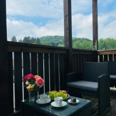 Hirsch Appartements - Bild 23