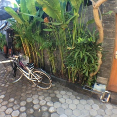 Villa Sahabat - Bild 12