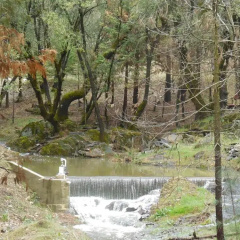 Yosemite Paradise Inn thumbnail 12