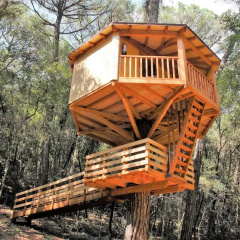 Cabanes Dosrius