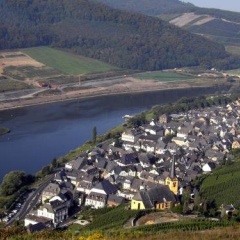Weinstube Pension Moselblümchen - Bild 6