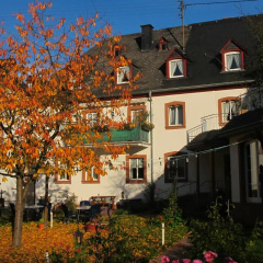Weinhof Michael Morbach - Bild 1