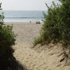 Go-Ym Resort thumbnail 11