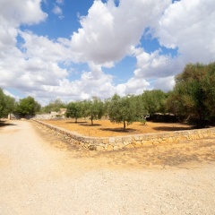 Son Garrot - Bild 11