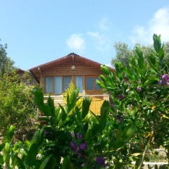 Olive Garden Kabak - Bild 21