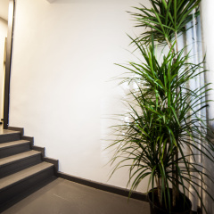 Inn 65 Budget - Bild 15