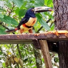 Mar Verde Lodge thumbnail 7
