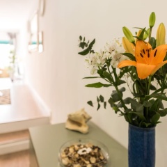 Apartamento Hopkins - Bild 1