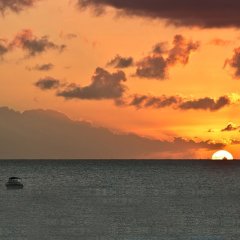 Bora Bora by RedAwning in Paynes Bay, Barbados from 540$, photos, reviews - zenhotels.com photo 19