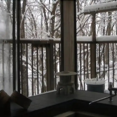 Hakuba Lumbini thumbnail 18