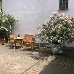 Schöne Ferienwohnung Gewölbekeller Fachwerkhaus - Bild 8