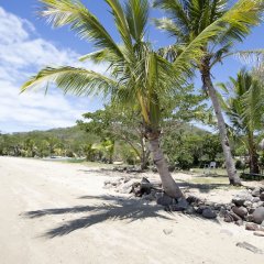 Vatia Beach Lodge in Viti Levu, Fiji from 111$, photos, reviews - zenhotels.com photo 37