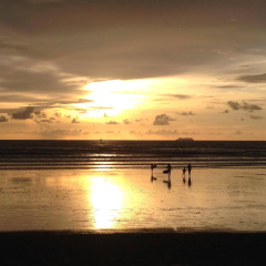 Noble House Beach Resort - Bild 12