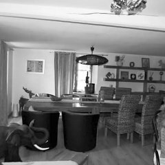 Au 1608 thumbnail 4