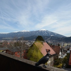 Design Apartments mit Terrasse - Adults Only - Bild 13