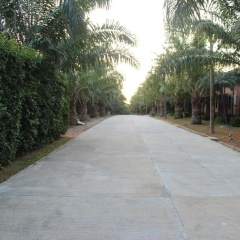 Palm Inn - Bild 9