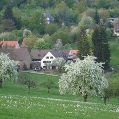 Alter Kohlhof - Bild 2