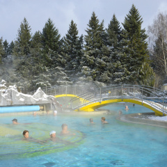 Johannesbad Thermalhotel Ludwig Thoma - Bild 13