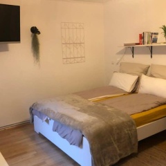Gemütliche sanierte 1 Zimmer Wohnung mit privatem Parkplatz im Zentrum - Bild 4